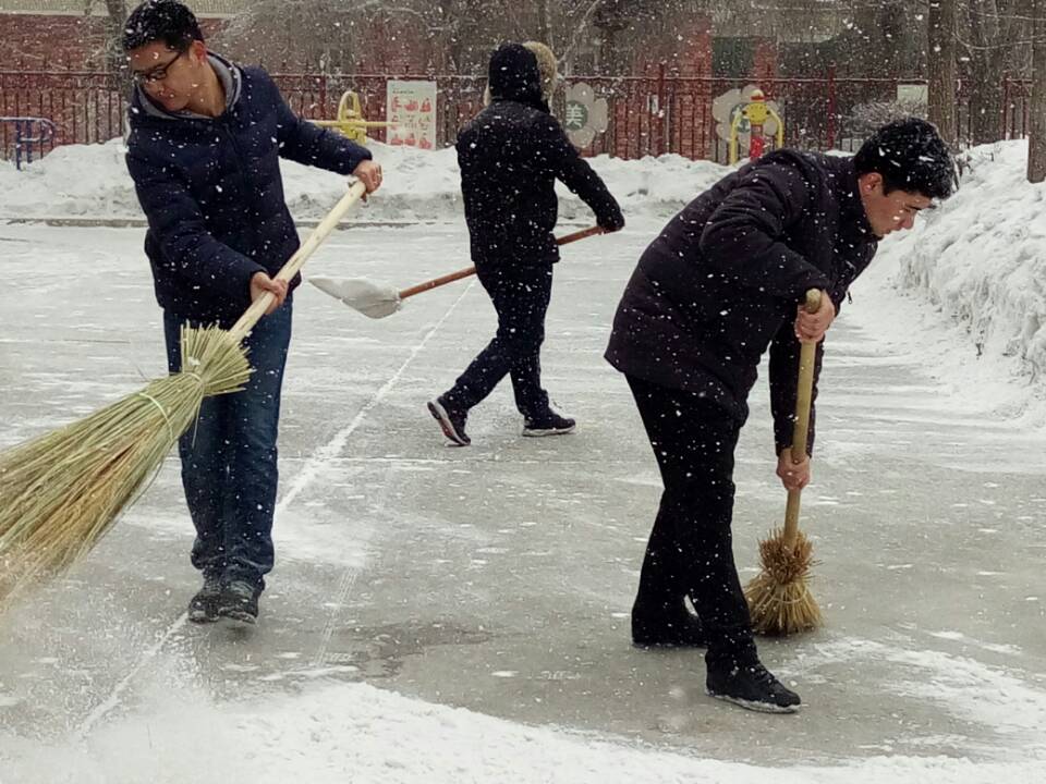 农学院研究生干部积极开展扫雪志愿服务